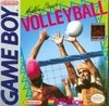 Beach Volleyball